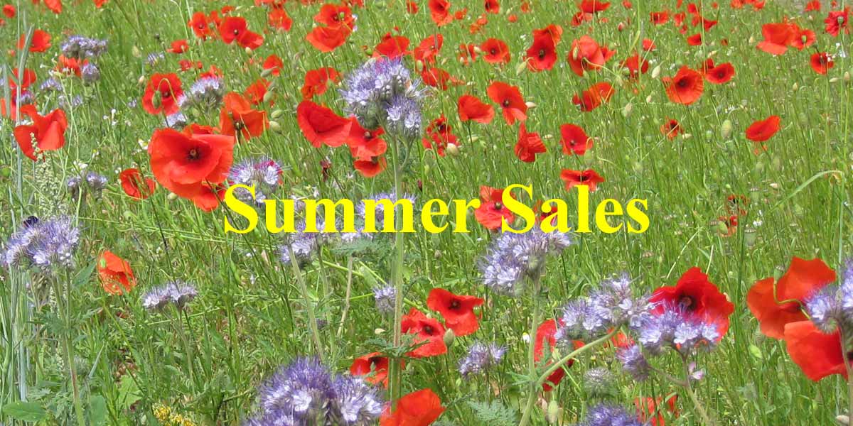 Summer Sales - Schnäppchen für Henkel-Pensionäre