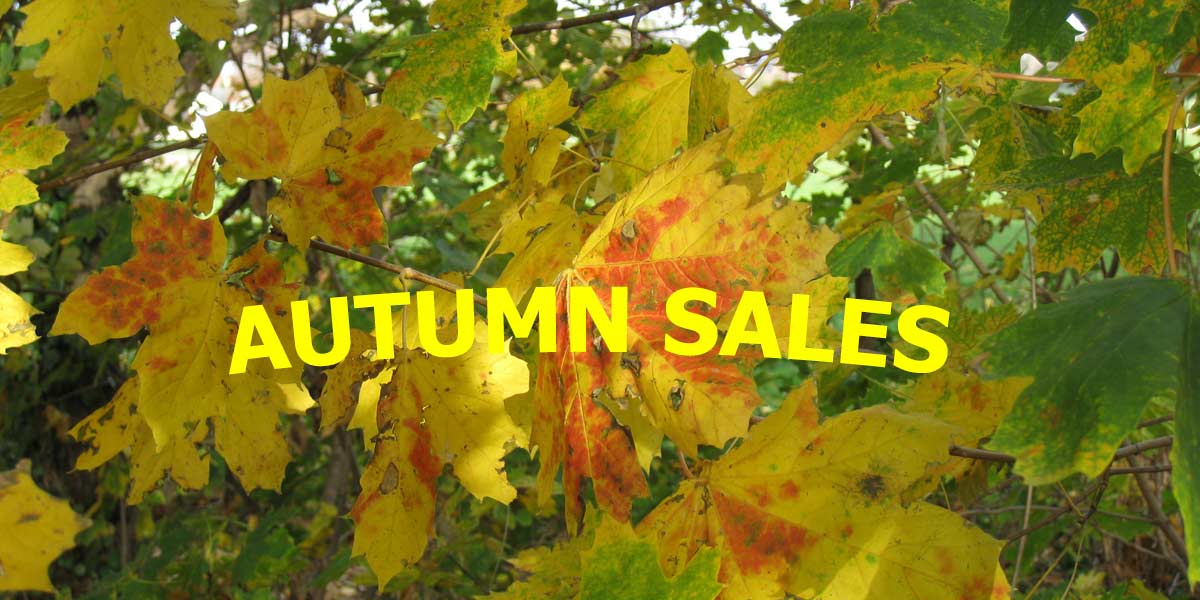 Autumn Sales - Schnäppchen für Henkel-Pensionäre