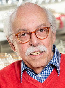 Thomas Brandt Thomas Brandt